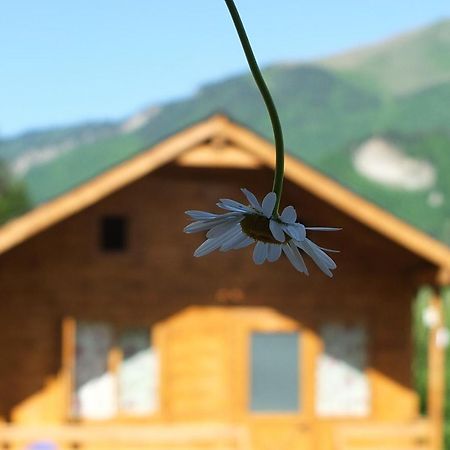 Mountain Cabins Mestia Ngoại thất bức ảnh