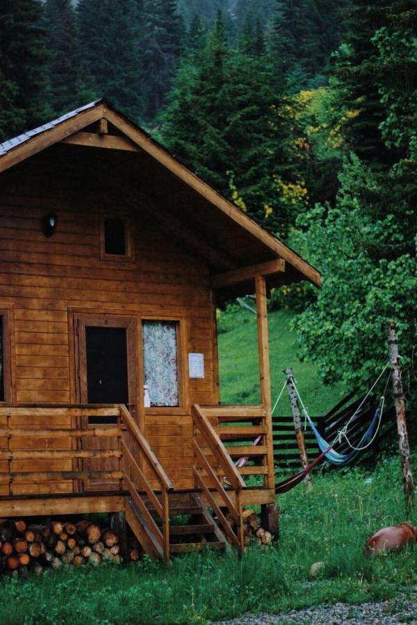 Mountain Cabins Mestia Ngoại thất bức ảnh