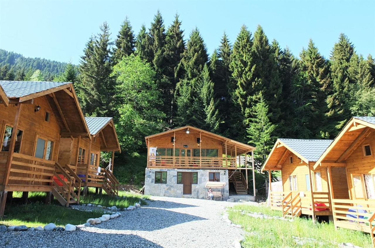 Mountain Cabins Mestia Ngoại thất bức ảnh